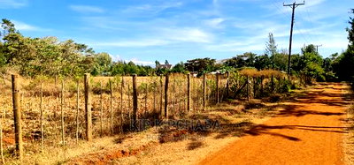 Big 1/4 Plot for Sale in Chepkanga Willow Tree Eldoret - Image 9