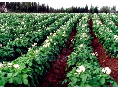 10 Acres Kisaju, Namanga Road Near Sigma Feeds - Image 2