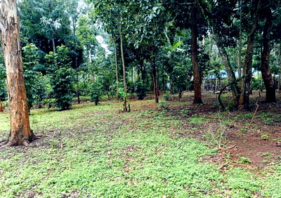 1-Acre Commercial Plot in Karen