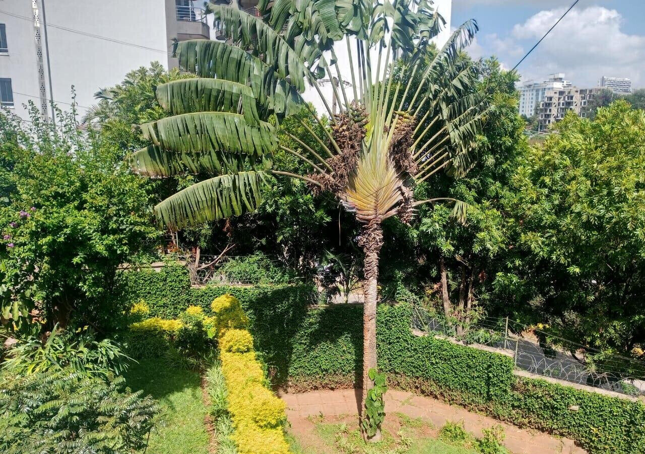 4BR Riverside Townhouse with Own Compound – KES 130M