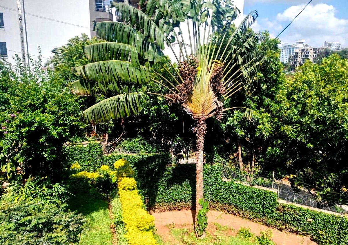4BR Riverside Townhouse with Own Compound – KES 130M