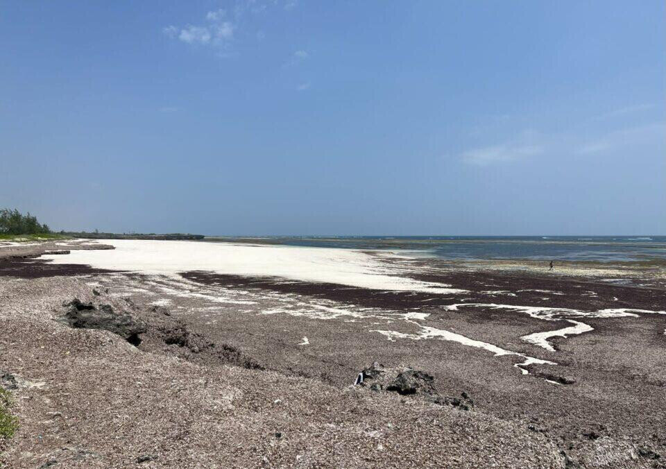 2-Acre Beachfront Land at KSh 110M