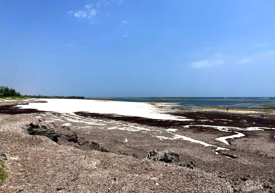 2-Acre Beachfront Land at KSh 110M