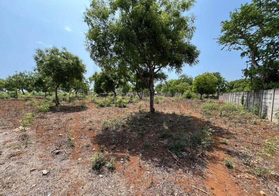 2-Acre Beachfront Land at KSh 110M