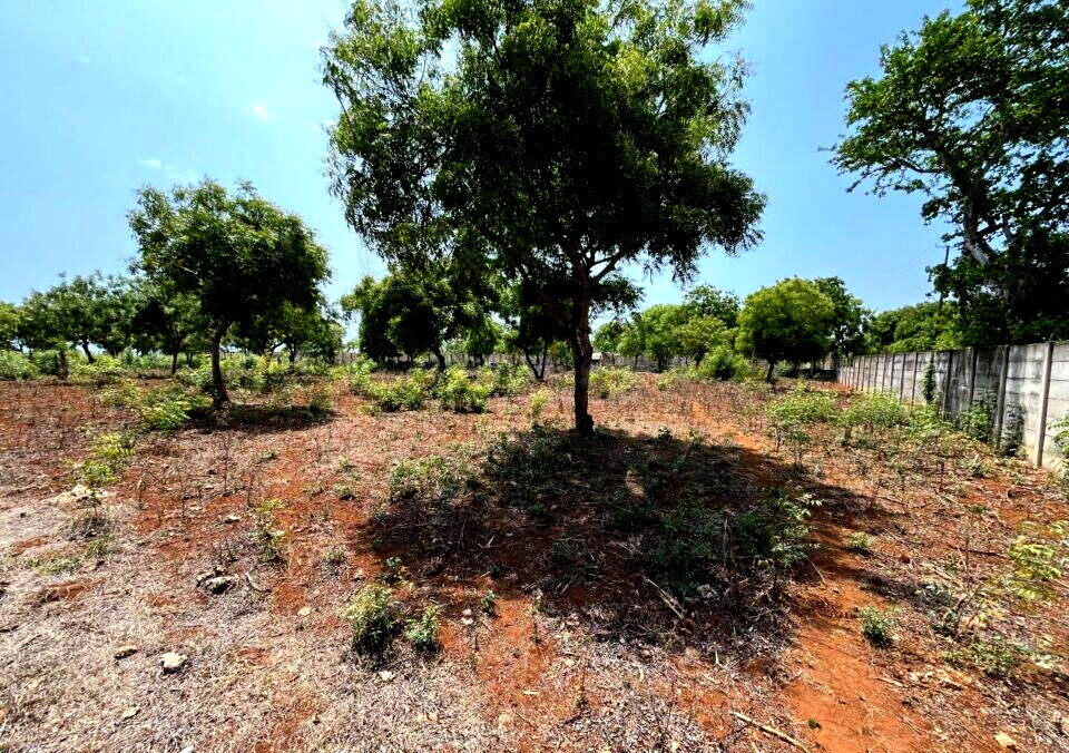 2-Acre Beachfront Land at KSh 110M