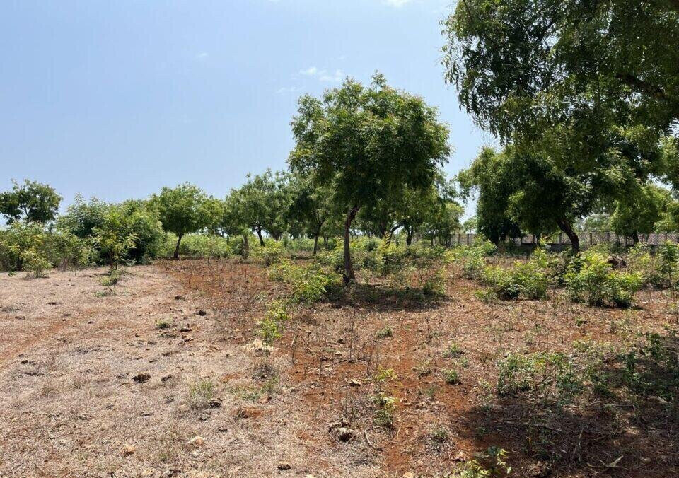 2-Acre Beachfront Land at KSh 110M