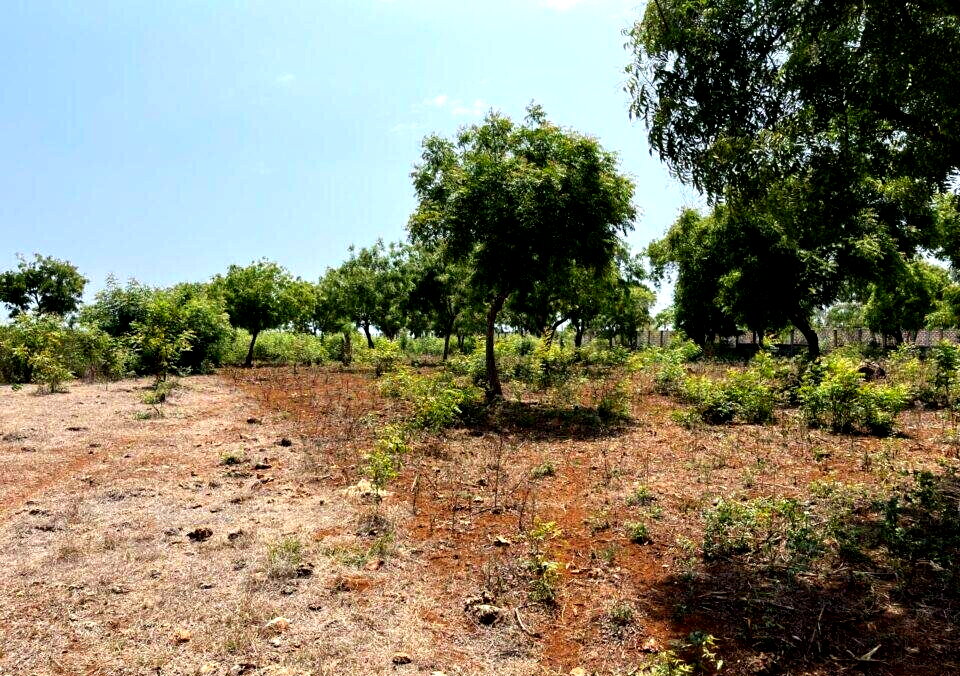 2-Acre Beachfront Land at KSh 110M