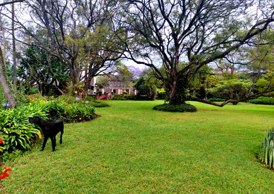 20-Acre Commercial Gem with Garden