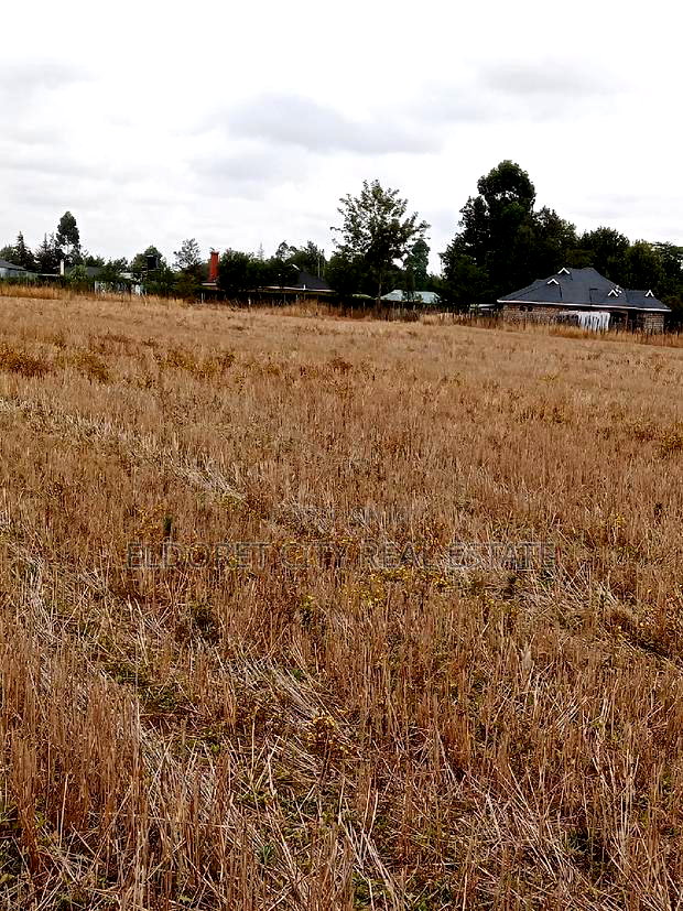 1/4 Plots Chepkanga for Residential