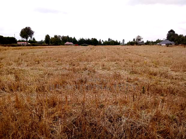 1/4 Plots Chepkanga for Residential