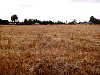 1/4 Plots Chepkanga for Residential - Image 2