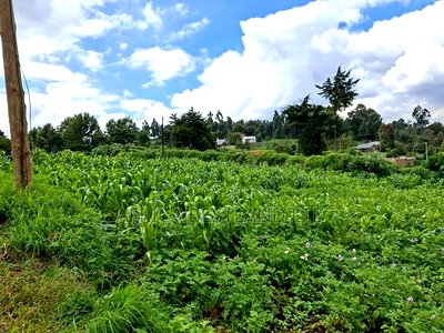 3 Acres Available Land for Sale in Limuru Near Tilisi - Image 4