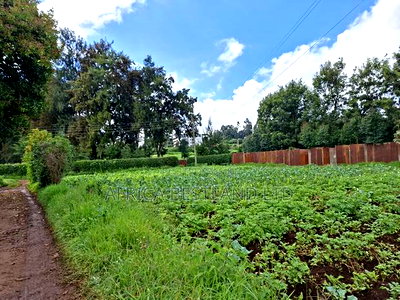 3 Acres Available Land for Sale in Limuru Near Tilisi - Image 5