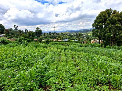 3 Acres Available Land for Sale in Limuru Near Tilisi - Image 3