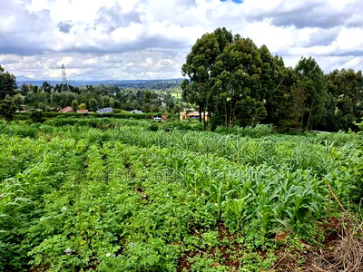 3 Acres Available Land for Sale in Limuru Near Tilisi - Image 2