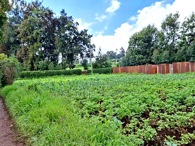 3 Acres Available Land for Sale in Limuru Near Tilisi - Image 6