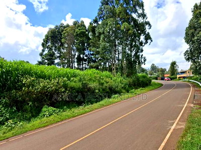3 Acres Available Land for Sale in Limuru Near Tilisi - Image 8