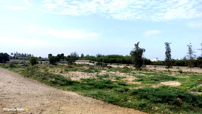 2nd Row Beach Plots In Kilifi - Image 5