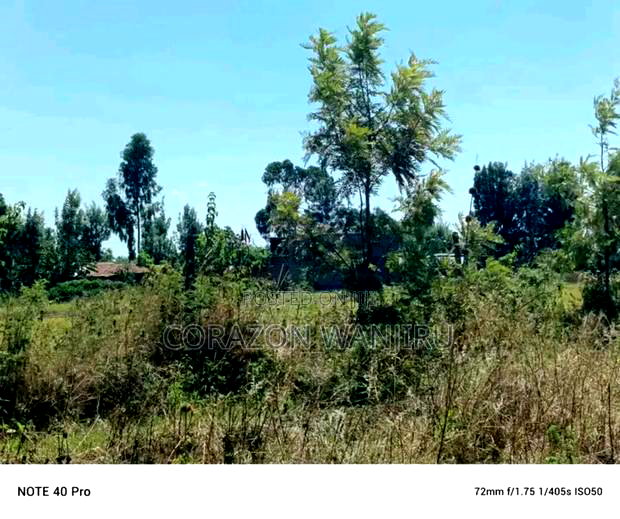 50*100plots in Nakuru Mangu