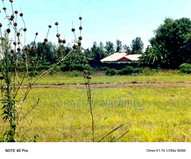 50*100plots in Nakuru Mangu