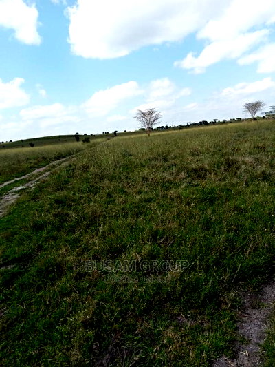 Kiserian by Pass 50 by 100 Plots for Sale - Image 2