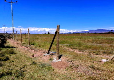50x100 Plot with Garden at KSh 350K