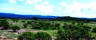 2-Acre Lake Elementaita Plot for KSh 10M