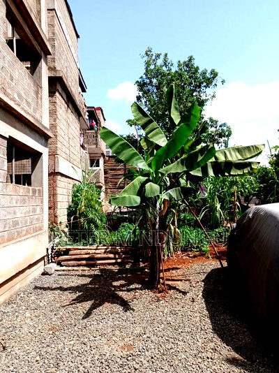 Prime Plot 0.0272 Hectares, Seasons,Kasarani - Image 3