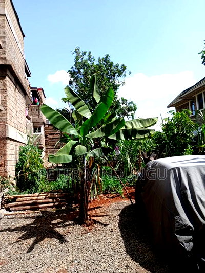 Prime Plot 0.0272 Hectares, Seasons,Kasarani - Image 2