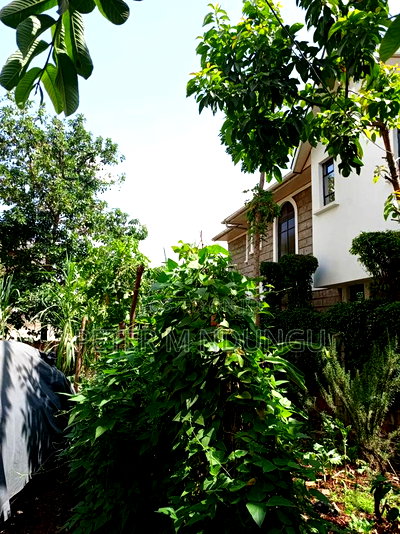 Prime Plot 0.0272 Hectares, Seasons,Kasarani - Image 5