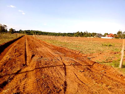 Several 1/4 Plots and 1/8 Plots Outspan - Image 1