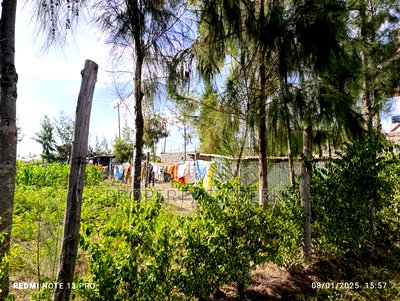 1/4 Acre Plot for Sale in Acacia Estate, Kitengela - Image 13
