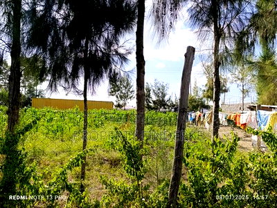 1/4 Acre Plot for Sale in Acacia Estate, Kitengela - Image 14
