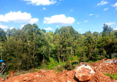 150-Acre Garden Land in Kiambu