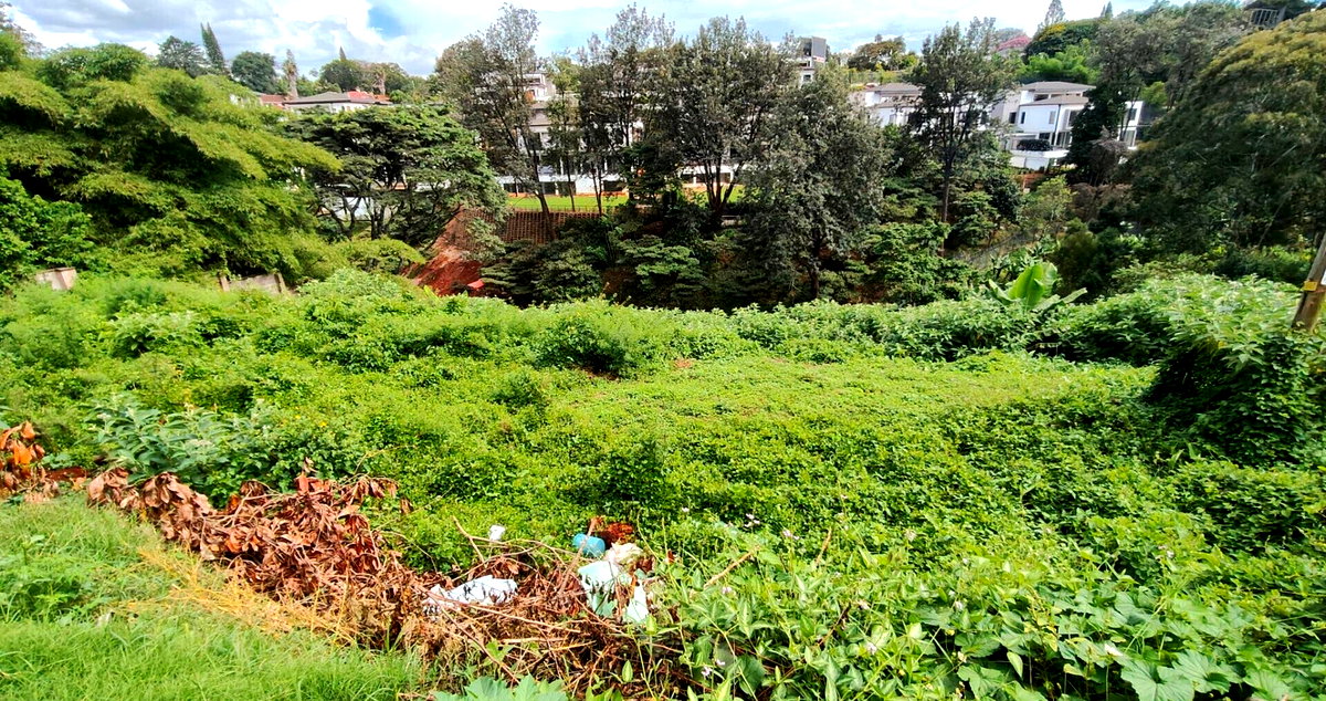 0.8 Acre Garden Land with Parking at KSh 60M