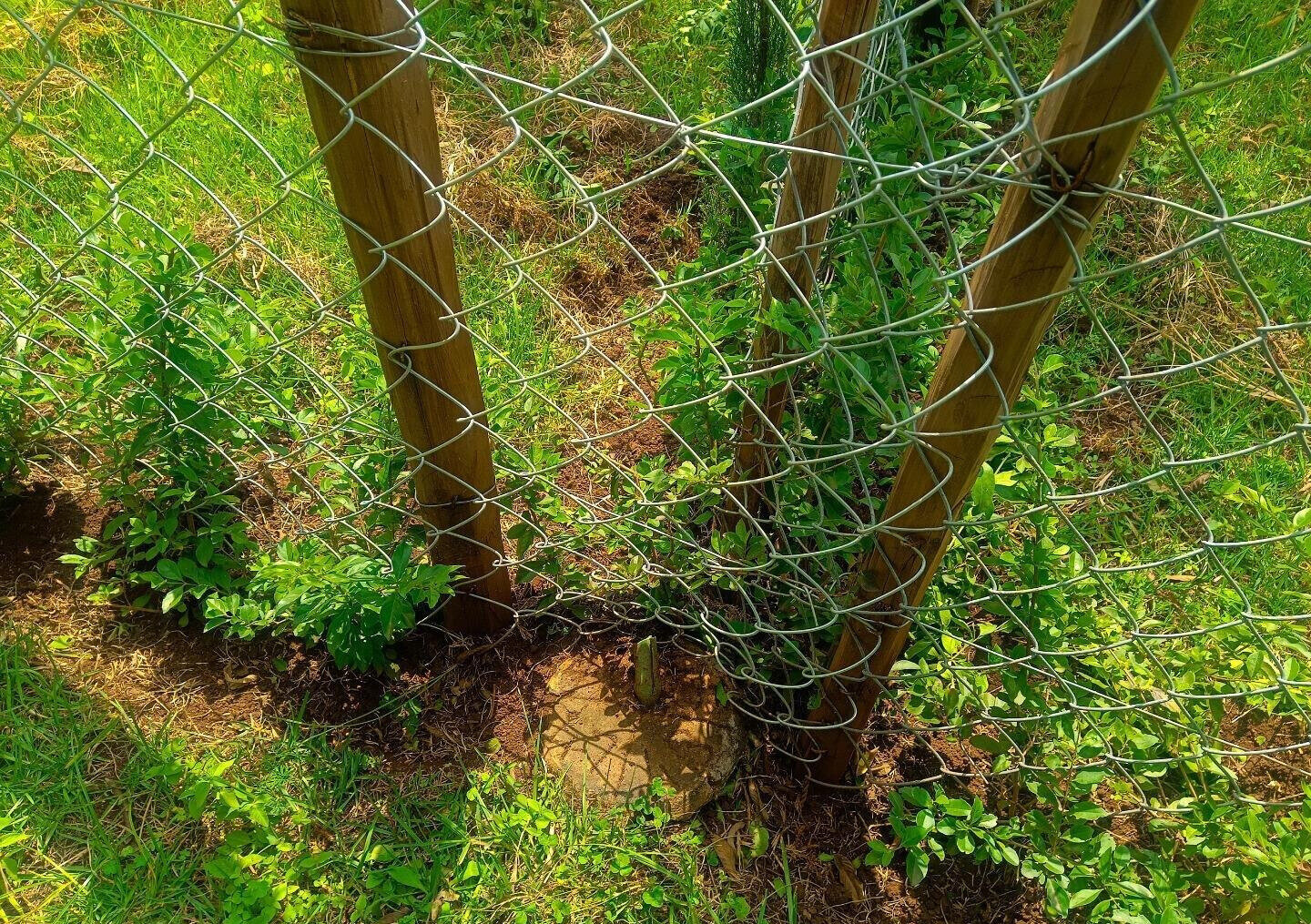 Quarter Acre Plot in Ngong for KSh 9M