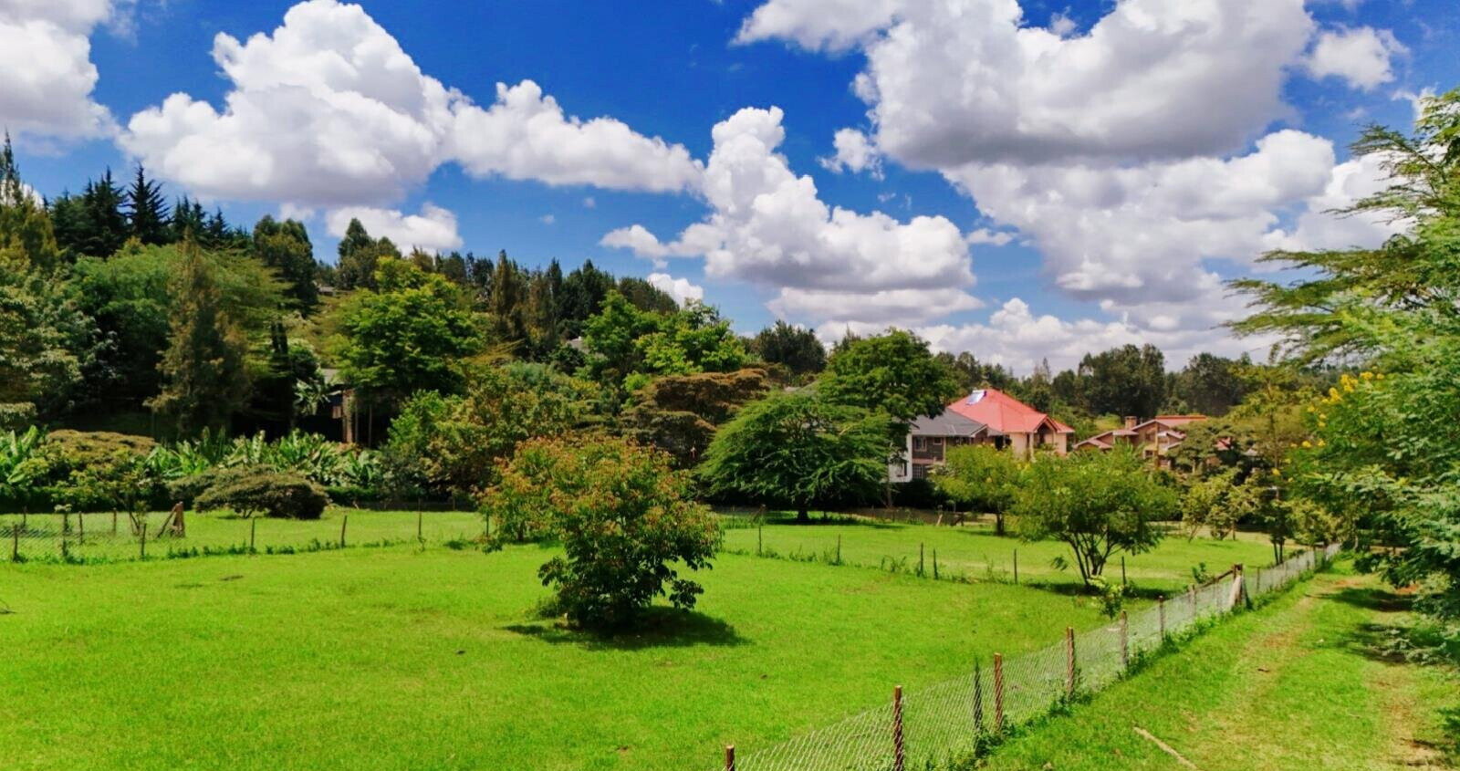 Quarter Acre Plot in Ngong for KSh 9M