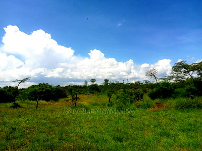 2 Acreas Nanyuki (Sweetwater) - Image 3