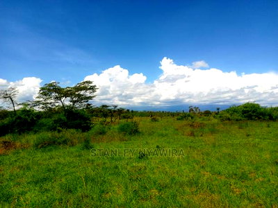 2 Acreas Nanyuki (Sweetwater) - Image 2