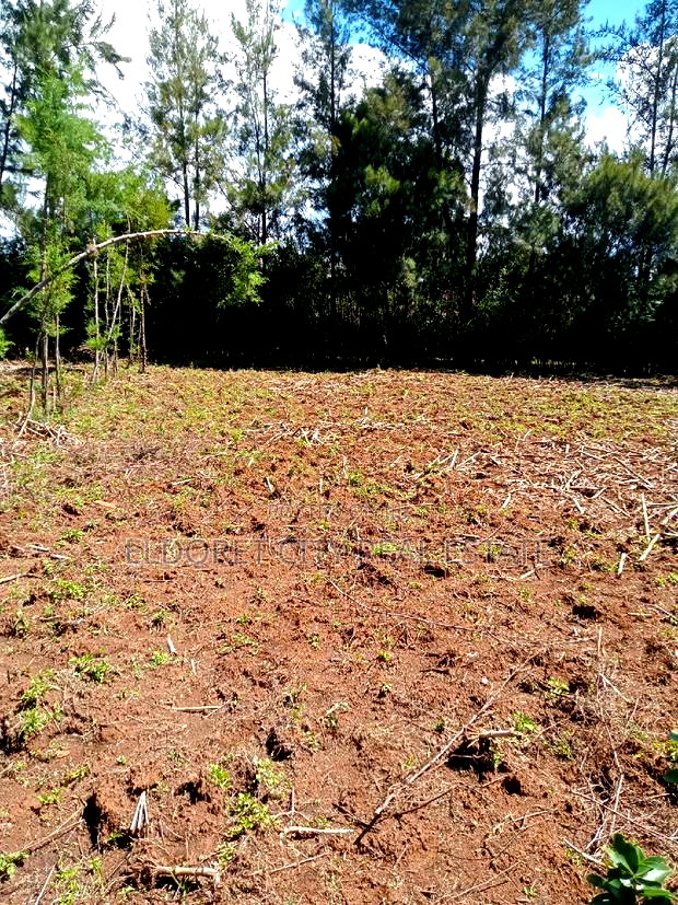 1/8 Plot Kapseret Inder Area Ideal for Residential