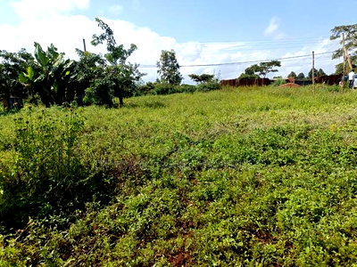 50x100 Prime Plot of Land for Sale in Gikambura Kikuyu - Image 2
