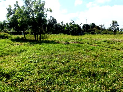 50x100 Prime Plot of Land for Sale in Gikambura Kikuyu - Image 3