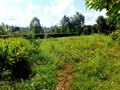 50x100 Prime Plot of Land for Sale in Gikambura Kikuyu - Image 4