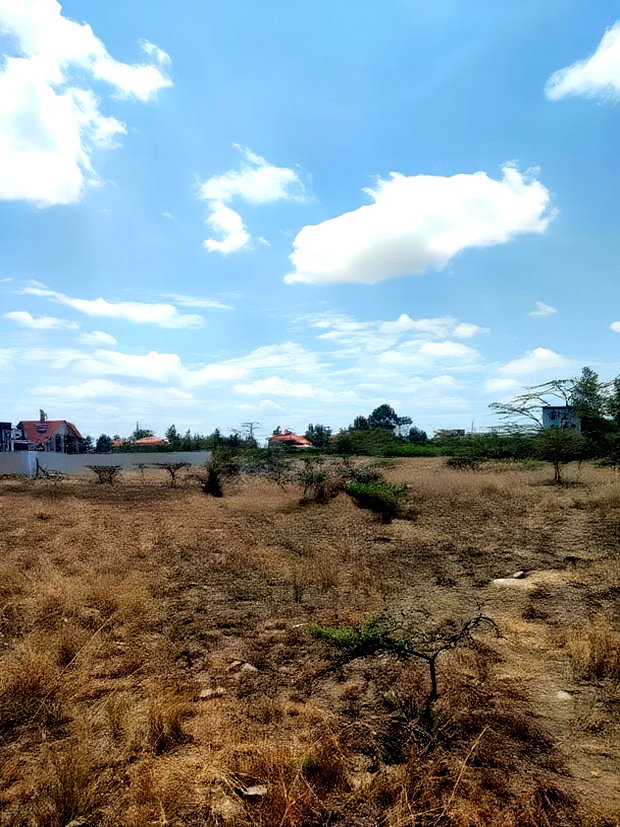1/2 Acre Land on Sale in Kitengela Chuna Estate