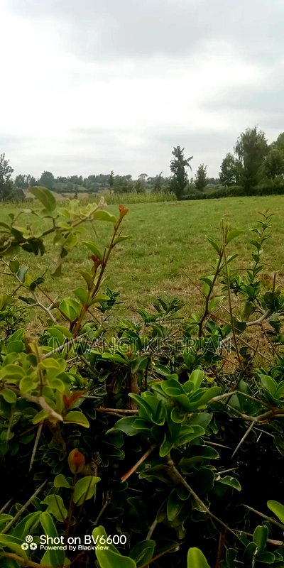 10acres for Sale in Kiserian Farmers - Image 3