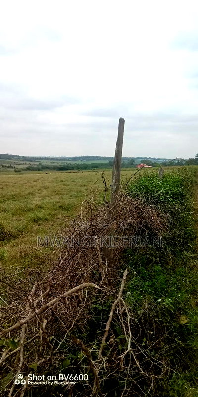 10acres for Sale in Kiserian Farmers - Image 9