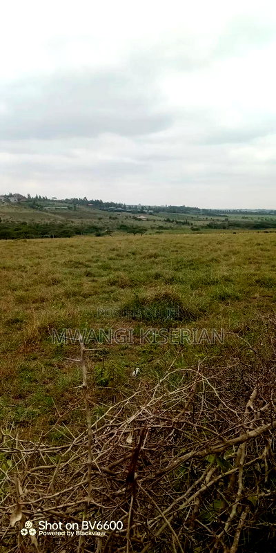 10acres for Sale in Kiserian Farmers - Image 10