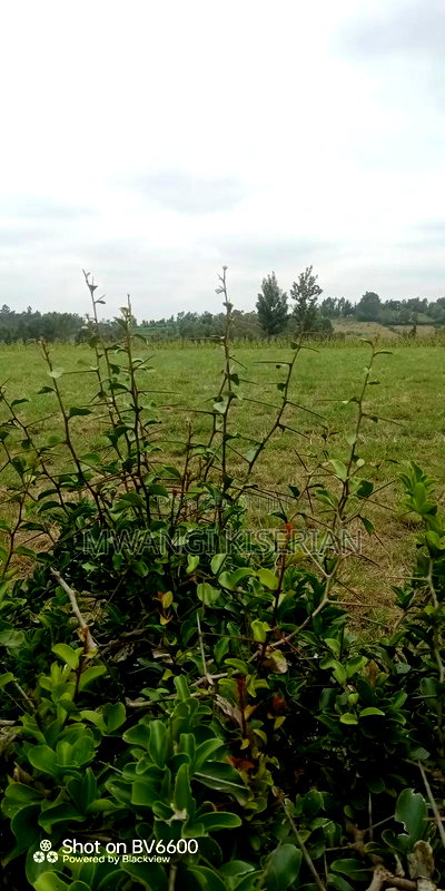 10acres for Sale in Kiserian Farmers - Image 4