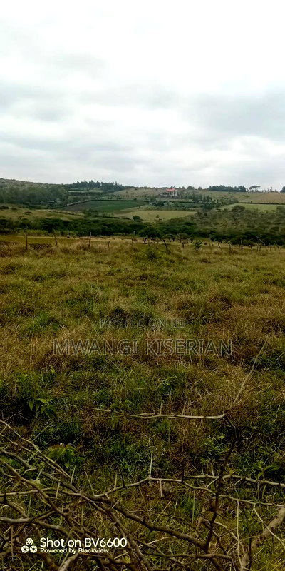 10acres for Sale in Kiserian Farmers - Image 13