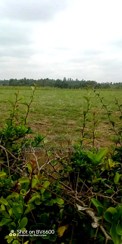 10acres for Sale in Kiserian Farmers - Image 5